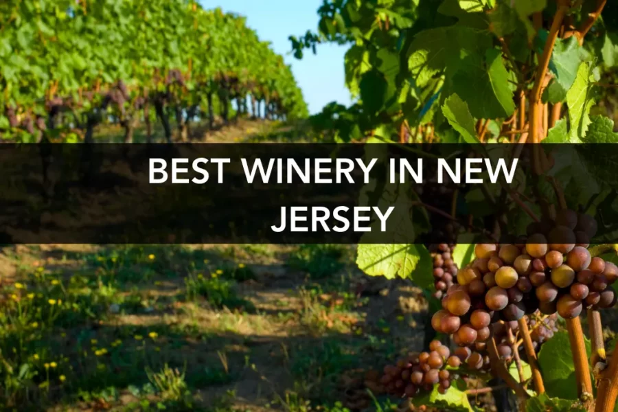 Best Winery in New Jersey